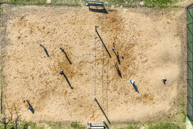 Kids can enjoy a game of volleyball at Veteran's Memorial Park near Rippon Landing.