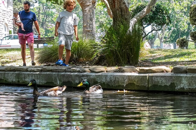 In Sonoma Plaza you can enjoy the duck ponds and with family and friends.