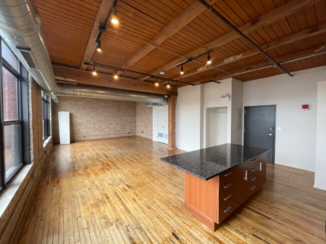 2100 S Marshall Blvd unit 5011, Chicago, IL 60623 - photo 4