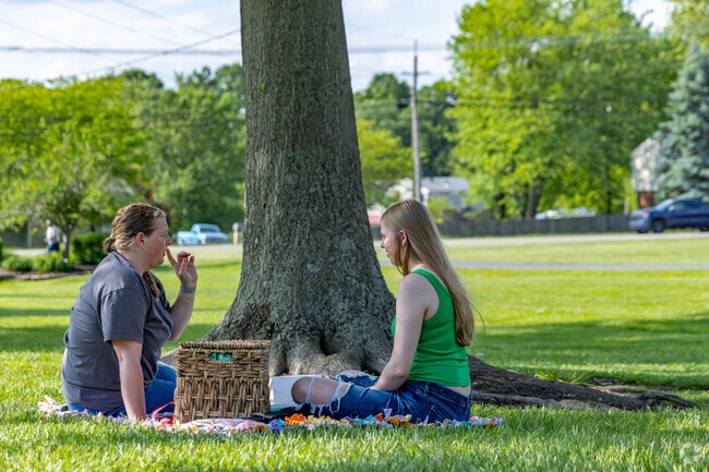 Enjoy a picnic with a friend at Veteran's Memorial Park in Mount Carmel