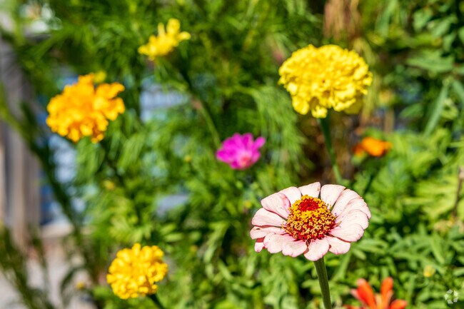 Shoenberg Farms neighborhood is known for its beautiful surrounding area, parks, and open space.