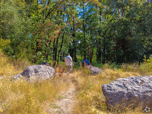 Chico Salmon Park is a popular area to view spawning Salmon.