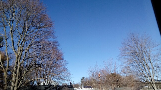 abuts 4+ Acre Park