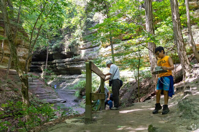 Starved Rock State Park is the perfect place for an afternoon hike.