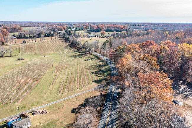 Margo, a picturesque town where community and nature harmonize in perfect balance.