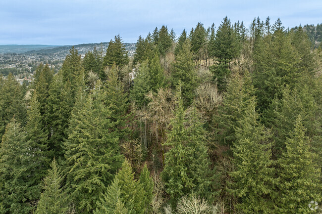 West Haven-Sylvan is a heavily wooded suburb of Portland.