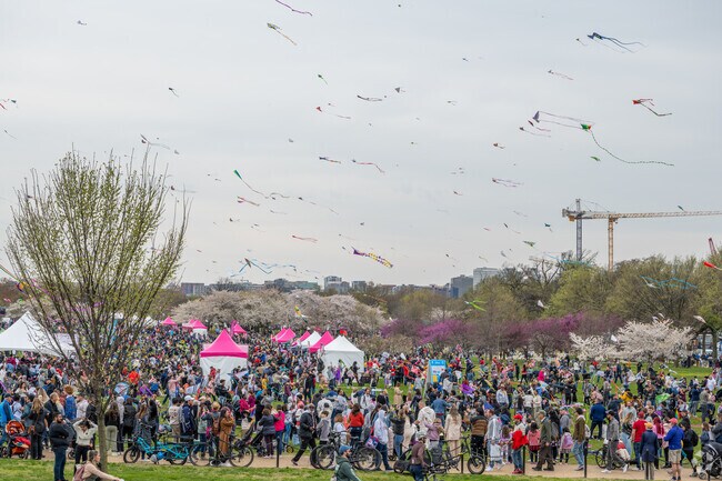 Thousands of people attend the kite fest on the National Mall adjacent to Foggy Bottom.