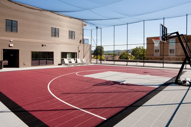Sports Court