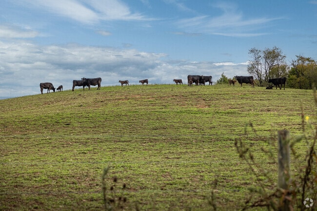 Conemaugh Township offers 11.4 acres of rural living.