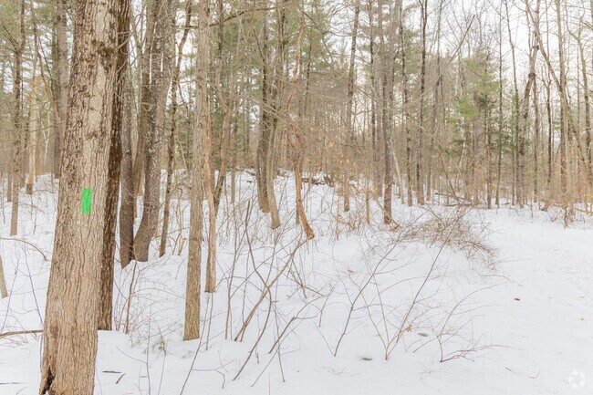 The Henderson-Swasey Town Forest in Exeter, is a 220 acre area of conservation lands with hiking trails.