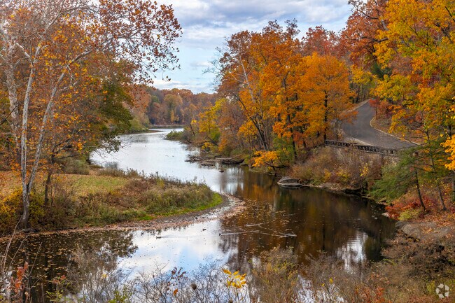 Grab a fishing pole or simply enjoy the views at Youngstown’s Mill Creek Park.