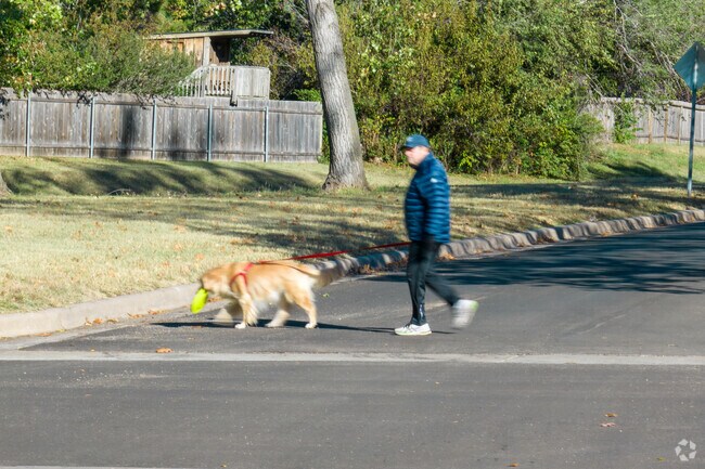 Dogs love the outdoor spaces available near Village as well.