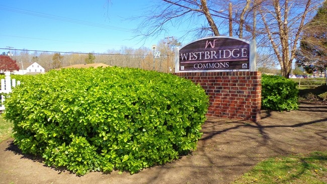 Westbridge Commons, Chesapeake, VA 23322 - photo 7