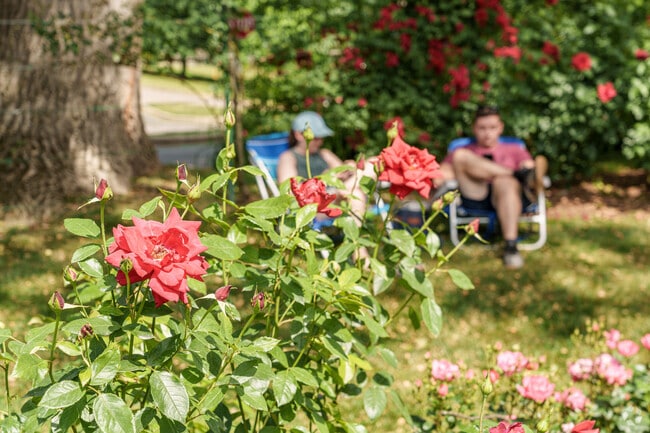 The Jasper Crane Rose Garden is a place to walk or just chill among the beautiful blooms.