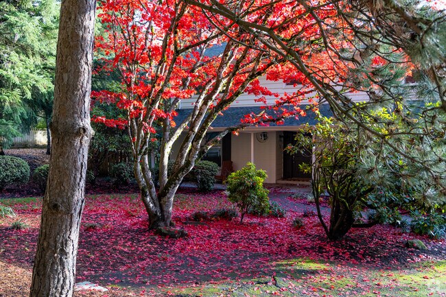A shady front porch glows red from the large maple in the Far Southwest neighborhood.