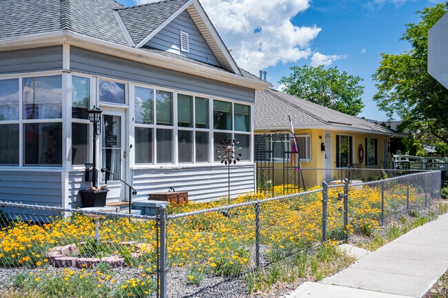 California Golden Poppies have taken a liking to this front yard in Downtown Sparks.