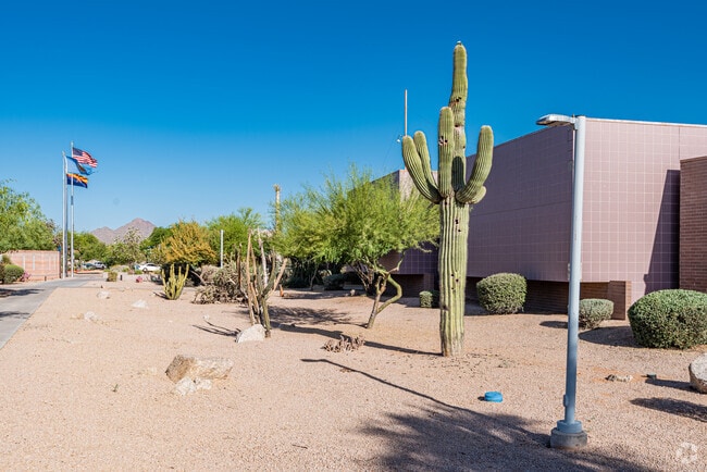 Saguaro Cactus blooming around Indian Bend.