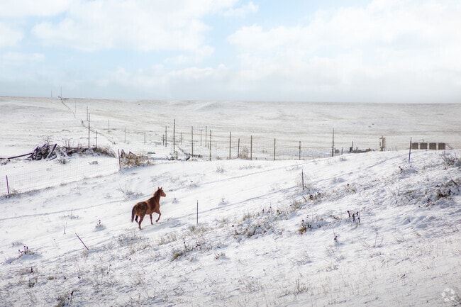Equestrian properties are a popular in the HR Ranch neighborhood.