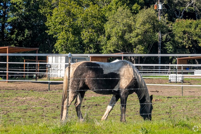 There are alot of agriculture farms raising horses and chickens in the Soquel area.