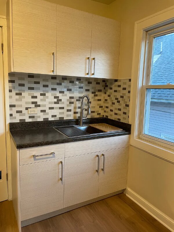 1022 N Menard Ave, Chicago, IL 60651 - photo 5