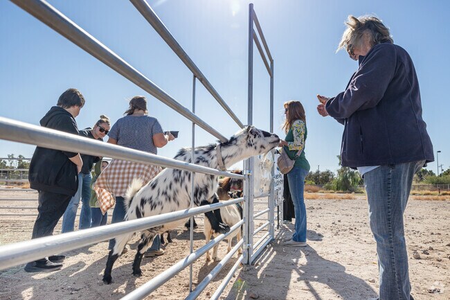 Petting zoos and community events are often held in the Donovan Estates, AZ neighborhood.