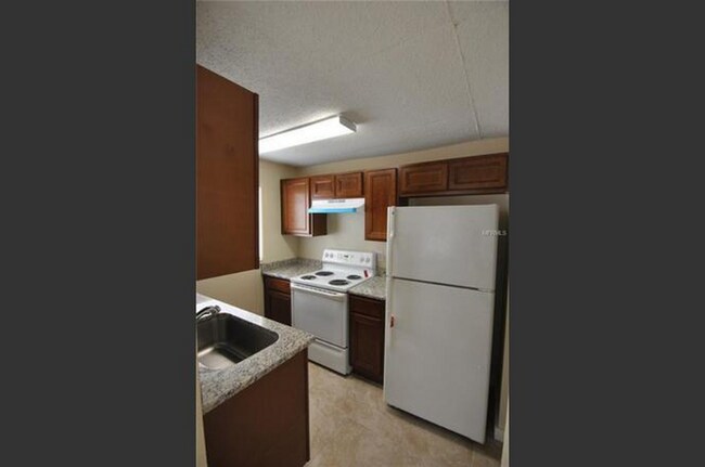 315 SE Dr M L K Jr Ave, Mulberry, FL 33860 - photo 6