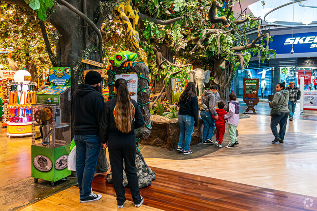 Head over to Ontario Mills mall and grab a bite and experience the Rainforest Cafe.
