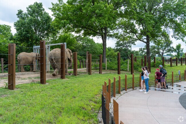 The African exhibit at the Kansas City Zoo in Swope Park offers an expansive walking trail.