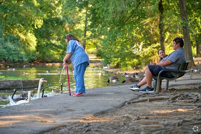 Visitors enjoy the waterfowl in Hagerstown City Park.