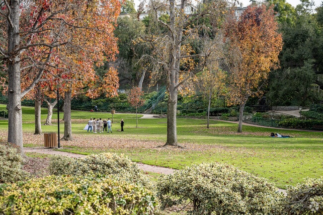 Penn Park is a tree lined park with waterfalls, ponds and a popular place for family portraits.
