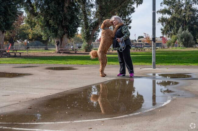 Garden Acres locals and their dogs love Garden Acres Park.