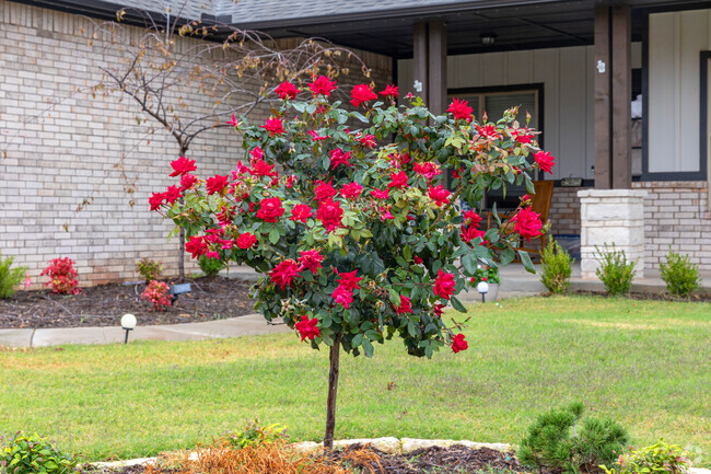 Grow vibrant roses bushes in the front yard of a future home. 	
Canyon Ridge-Meadow Brook