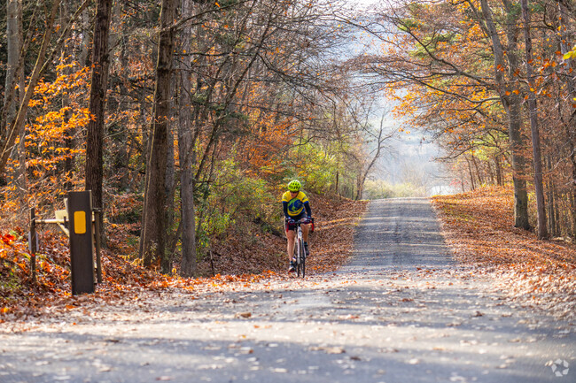 Bikers enjoy the paved roads through Bald Eagle State Park.