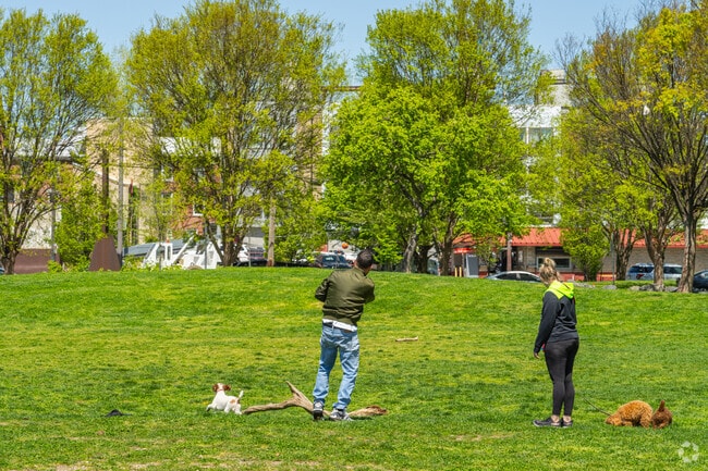 Spring days in Penn Treaty Park brings out locals to play fetch with their pups.