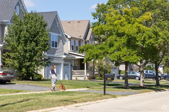 All over South Oswego you can find tree lined streets, large lots and dog walkers.