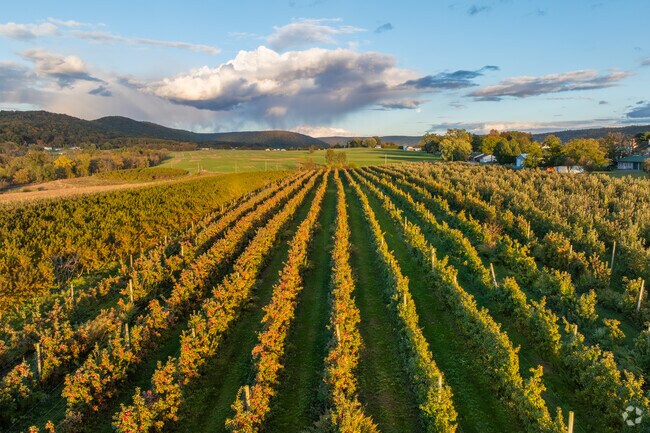 Valley View is home to the beautiful Red Shale Vineyards and many visit the winery nearby.