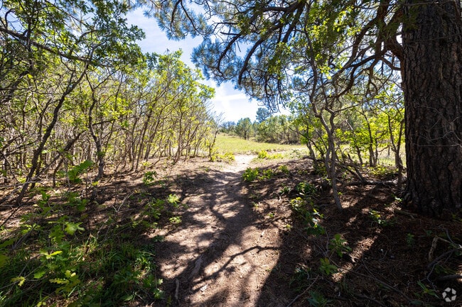 Residents grab their hiking shoes for a walk in the beautiful Memmem Open Space which is in Glover-Baldwin Park.
