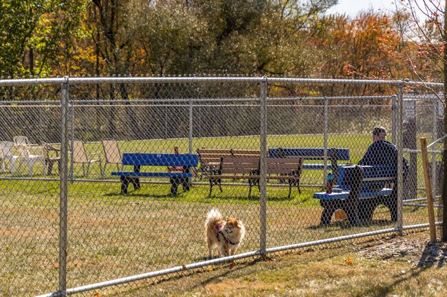 The Town of Newton Dog Park is the ultimate destination for your furry companions.