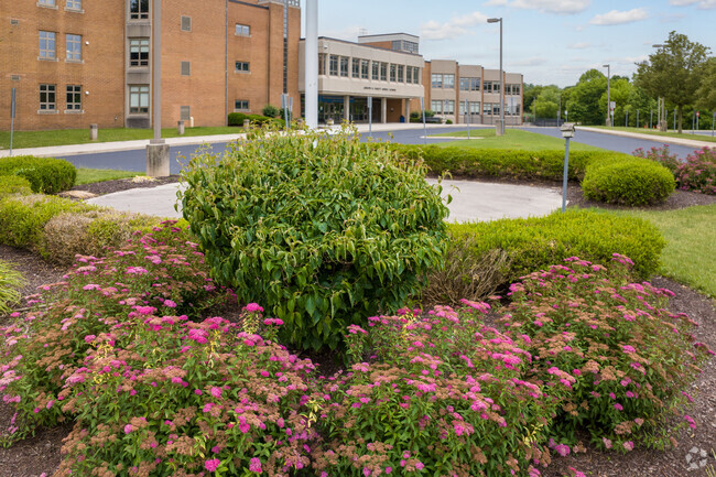 Decorative plantings add a pop of color at J R Fugett Middle School.