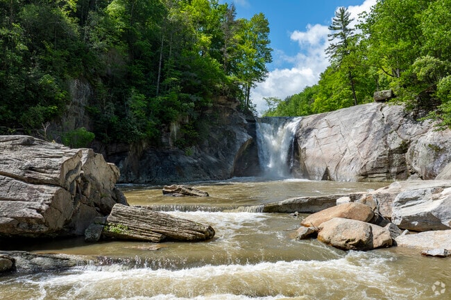 Enjoy the beauty of Elk Falls, a local gem that provides hiking, picnicking, and photo-worthy views for residents and visitors alike.