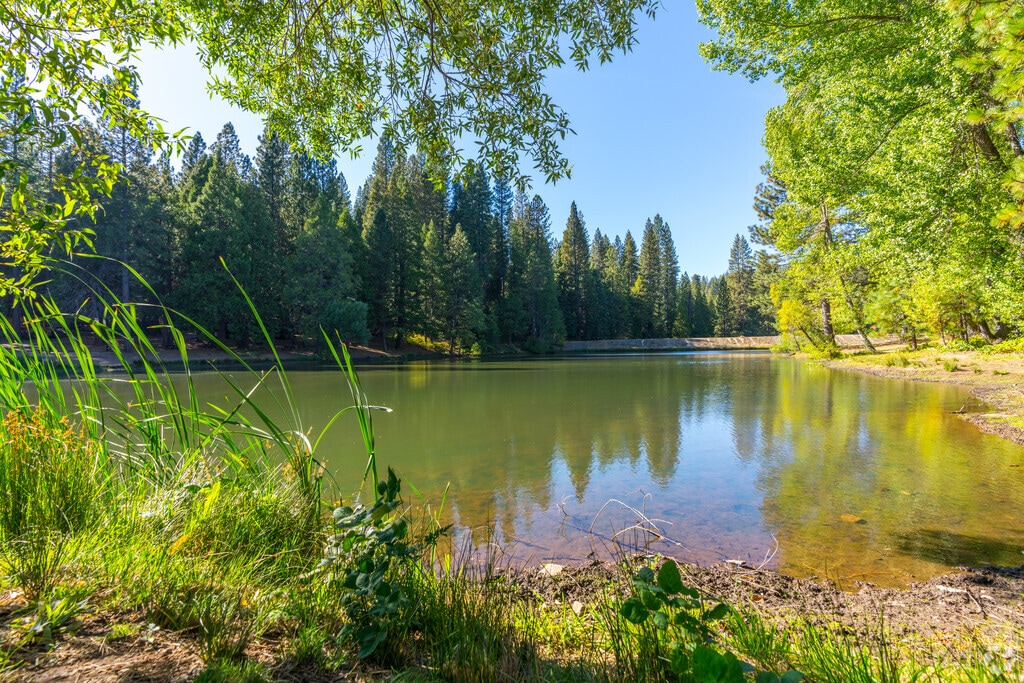 White Pines Lake is a beautiful site with beaches, picnic tables, and a disc golf course.