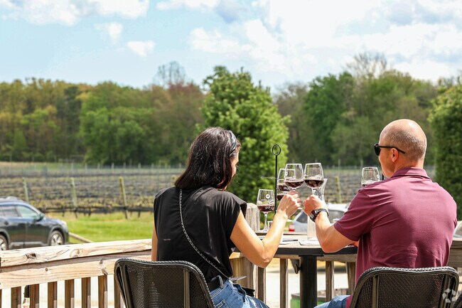 Enjoy local wines in beautiful vineyards at White Horse Winery in Winslow Township.