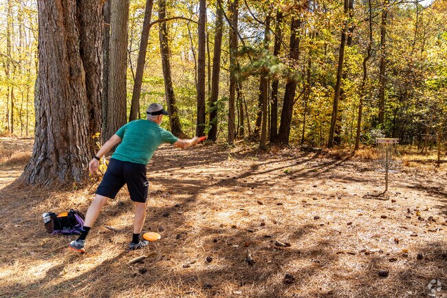 Henderson Circle residents can play a game of disc golf at the nearby Hornets Nest Park.