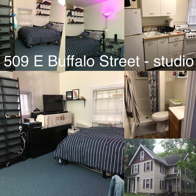509 E Buffalo St unit 1, Ithaca, NY 14850 - photo 6