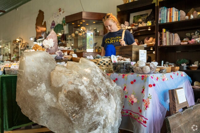 Normal Park locals head to World of Rocks for collectible rocks.