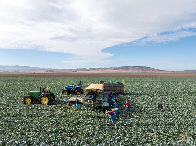 Hollister is known for its fertile fields and fresh produce markets.