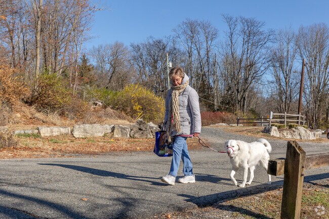 Residents enjoy walking their dogs along the tranquil streets of Green Township, NJ.