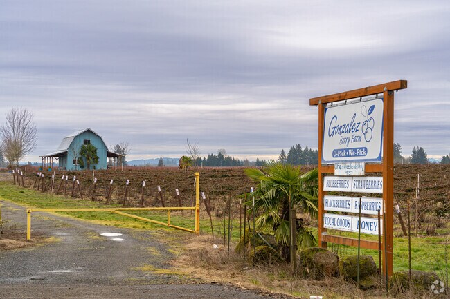 Families love the u-pick seasons at The Gonzalez Family Berry Farm and can shop for the freshest, high quality pre-picked berries on the weekends.