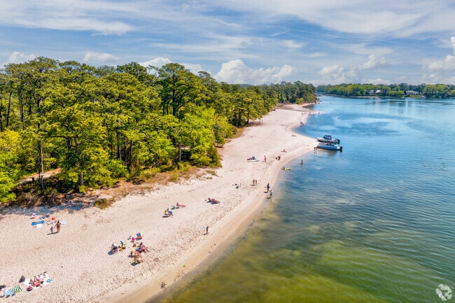 Sunbathers unwind on the sandy shores of First Landing State Park.
