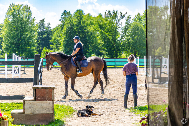 Take riding lessons at the Glen Grove Equestrian Center in Lincolnshire.